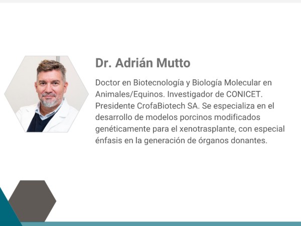 Seminario de investigación - Junio 2026