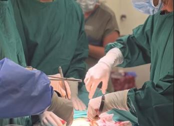 El equipo de Ginecología y Obstetricia del CEMIC participó en uno de los mayores estudios sudamericanos sobre tumores ováricos de bajo grado